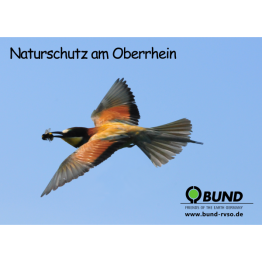 Naturschutz am Oberrhein