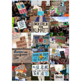 Fridays for Future Poster